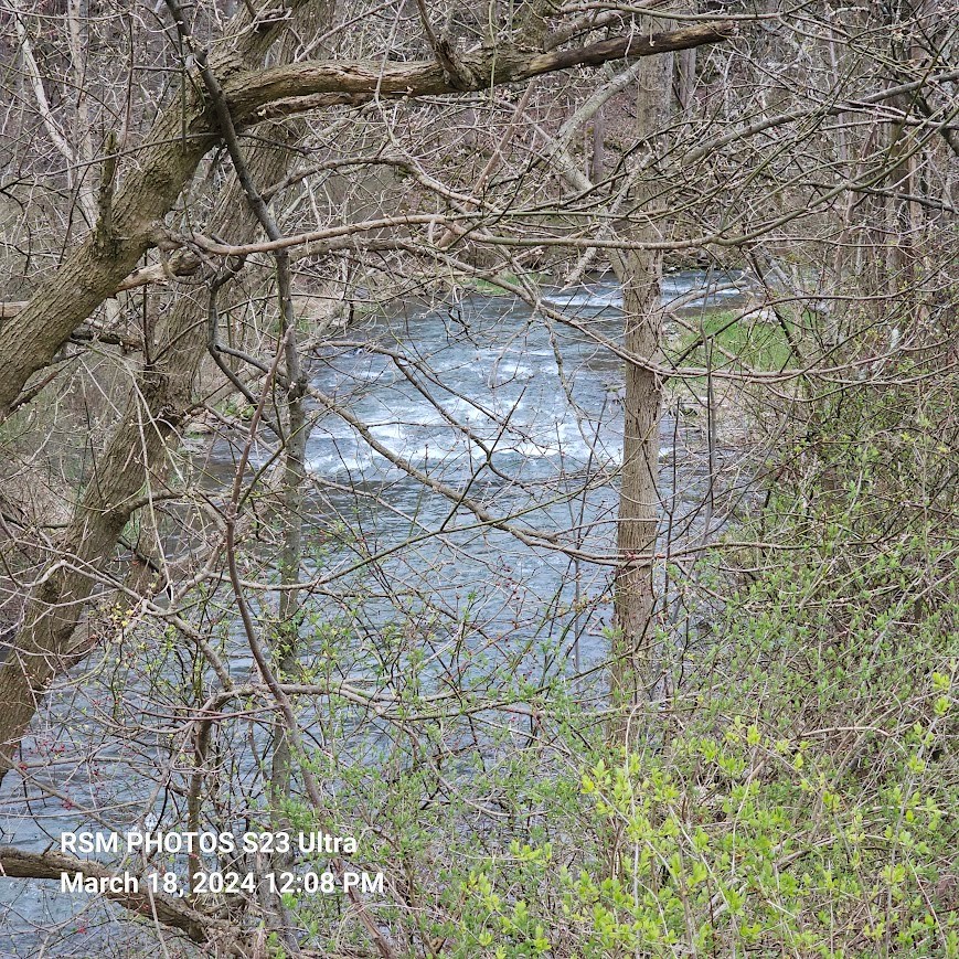 Spruce Creek On Private Property