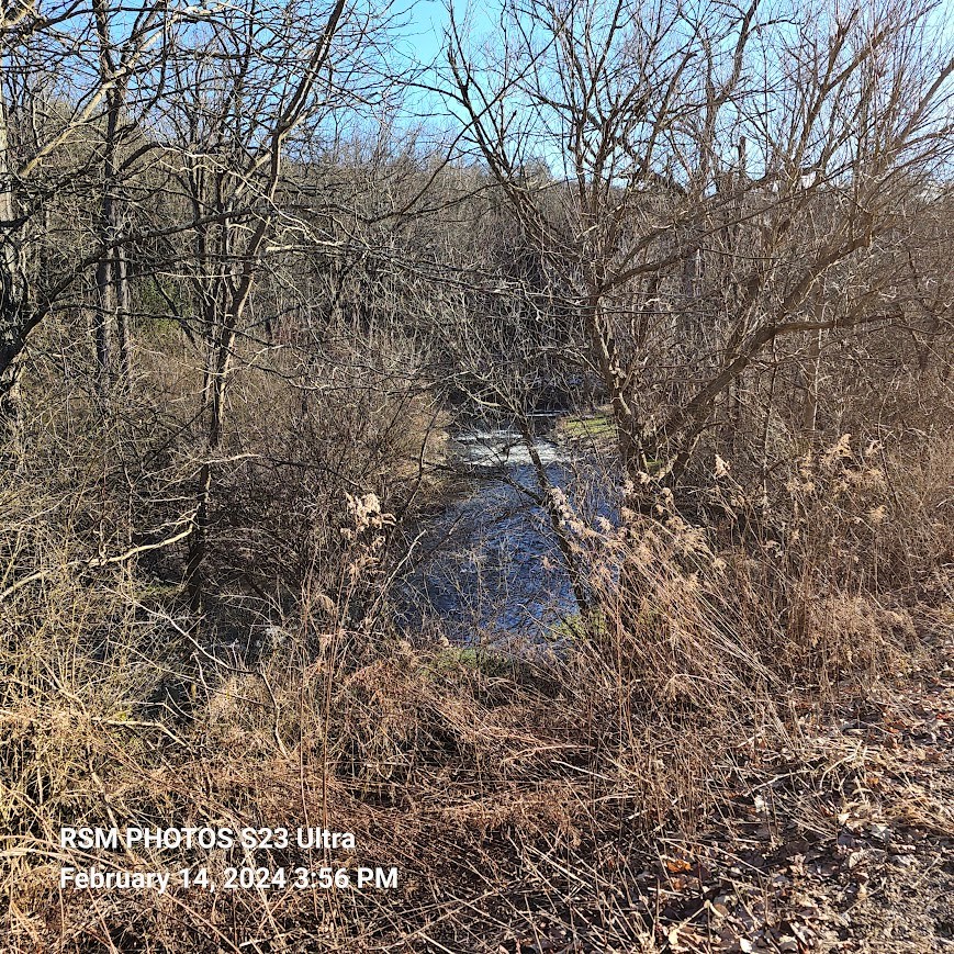 Spruce Creek Across Road, No Frontage