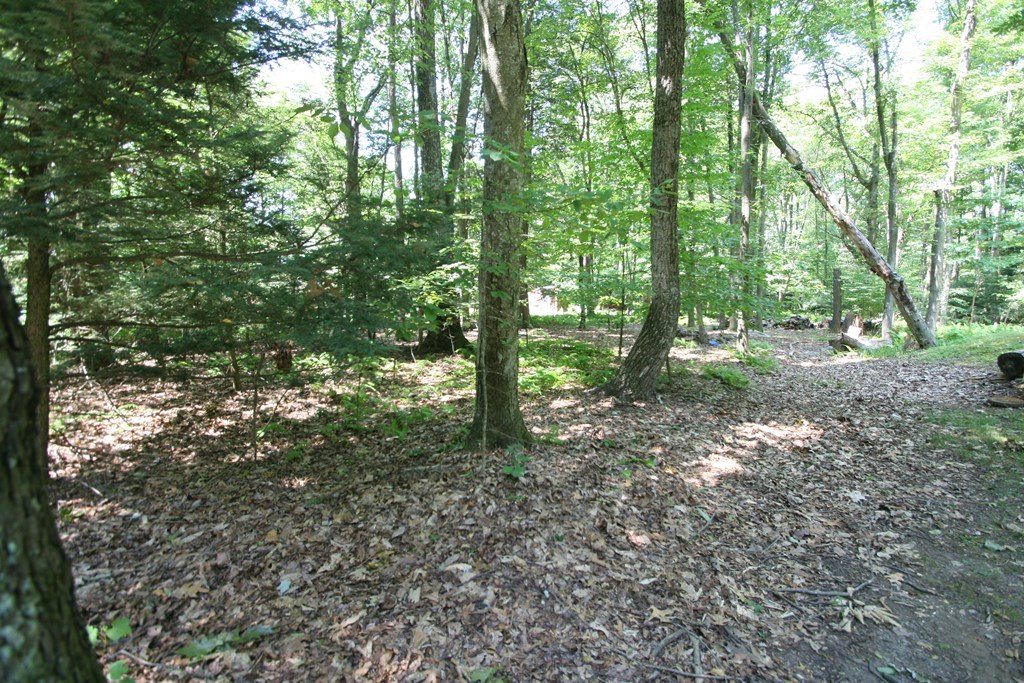 Wooded 3.23 Acres